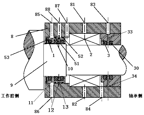 Shaft sealing device of oil-free screw machine