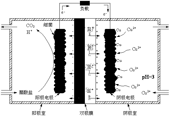 Recovery device and recovery method of metallic copper of waste printed circuit board