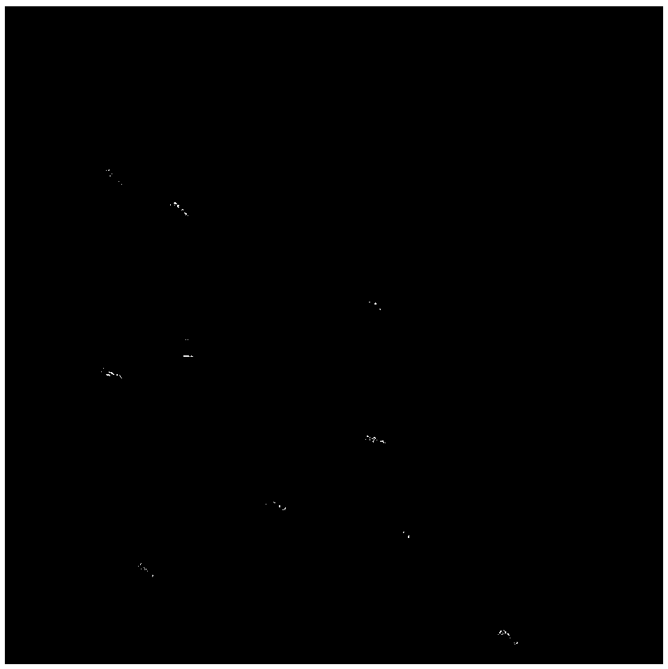 A sparse regularization feature enhancement method for SAR image interpretation