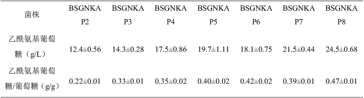 Method for promoting synthesis of bacillus subtilis acetylglucosamine