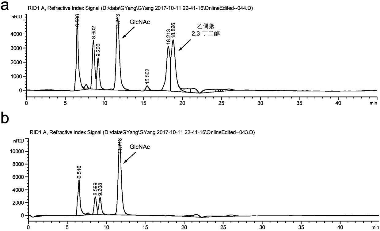 Method for promoting synthesis of bacillus subtilis acetylglucosamine