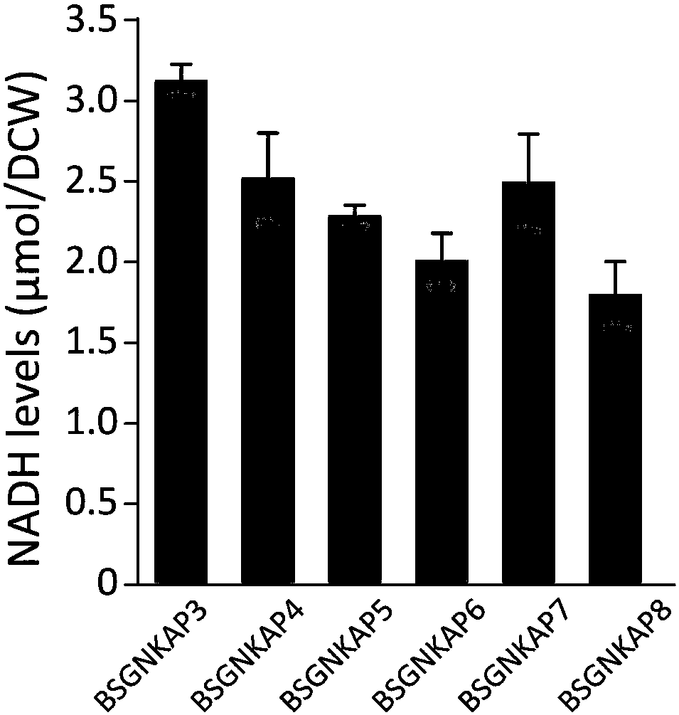 Method for promoting synthesis of bacillus subtilis acetylglucosamine