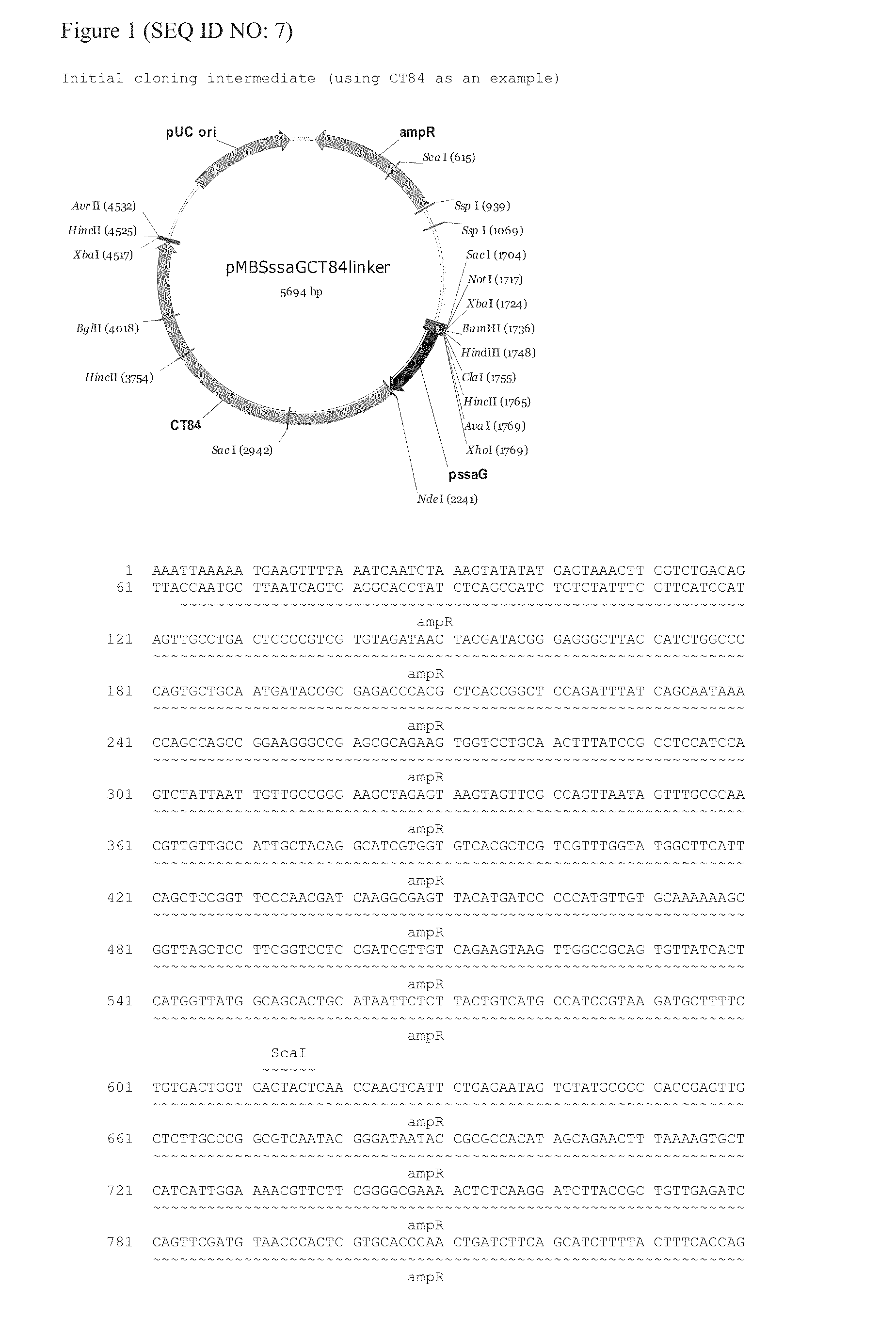 Salmonella vectored vaccines against Chlamydia and methods of use