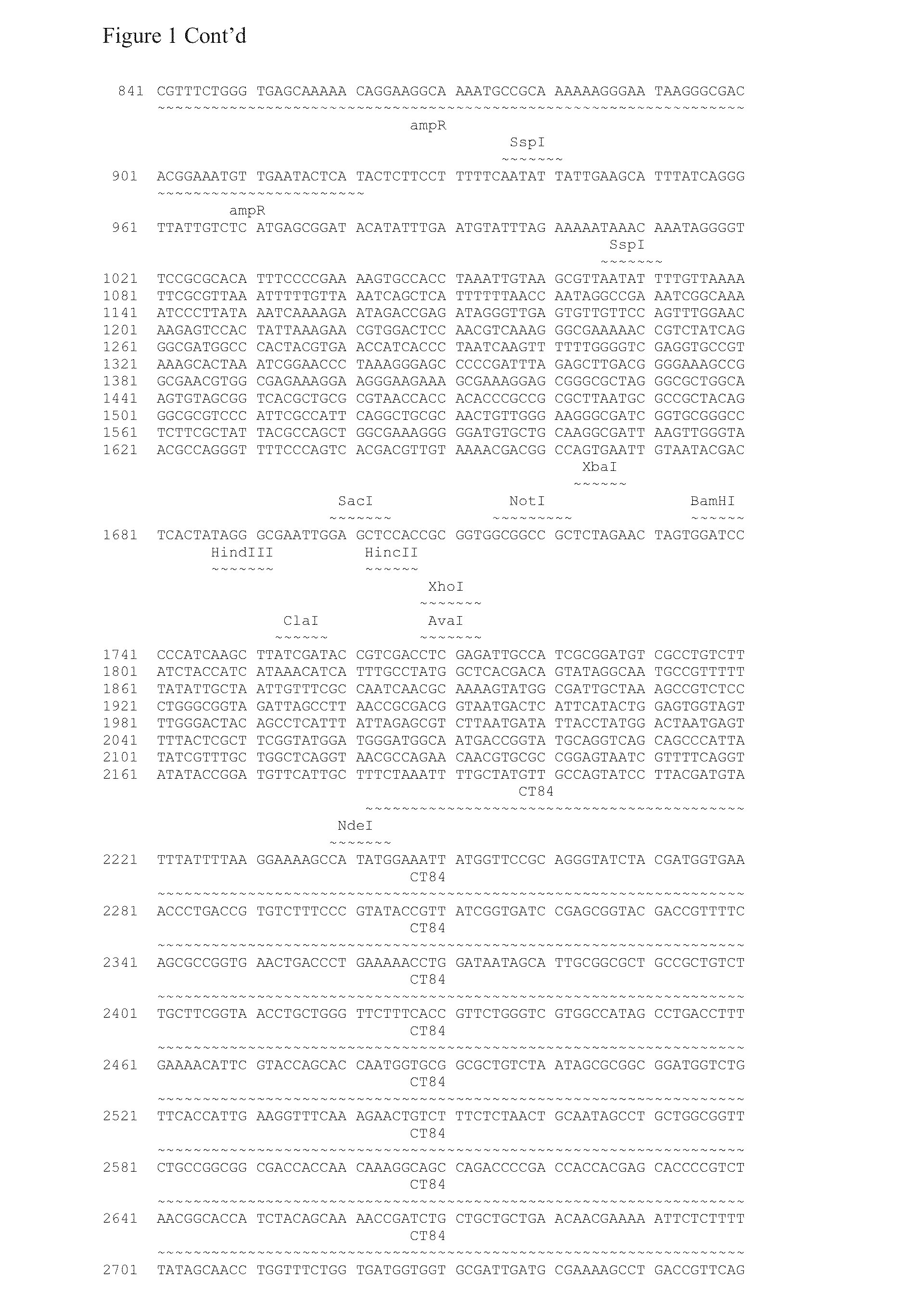 Salmonella vectored vaccines against Chlamydia and methods of use