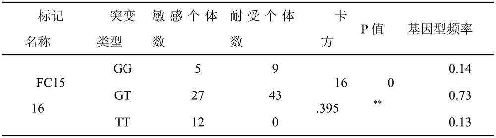 The core sequence, primers and application of SNP markers related to high pH resistance of Chinese prawn