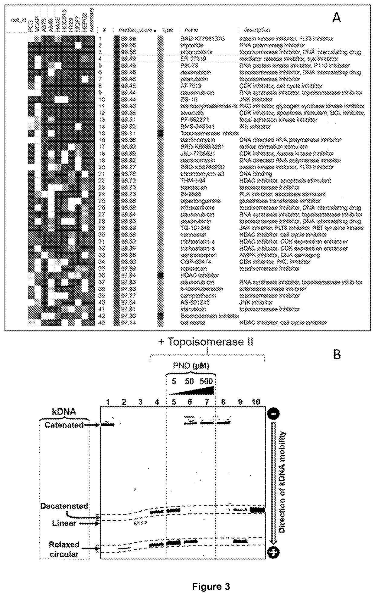 Bifunctional compositions for the treatment of cancer