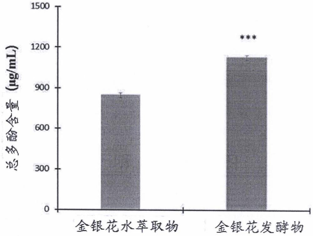 Preparation method of honeysuckle fermented product and application of honeysuckle fermented product in improving skin appearance and resisting aging