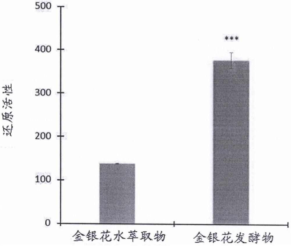 Preparation method of honeysuckle fermented product and application of honeysuckle fermented product in improving skin appearance and resisting aging