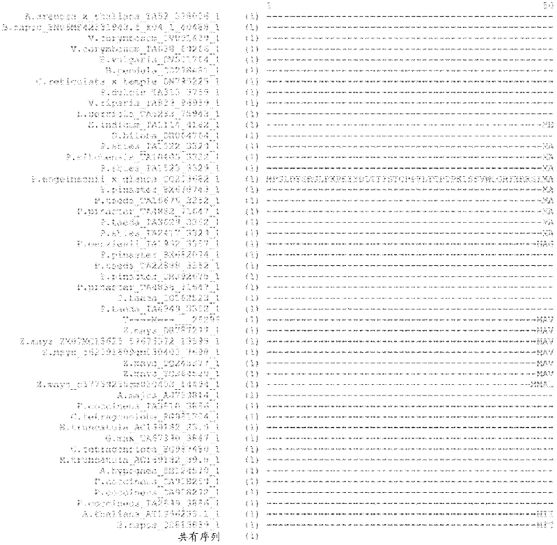 Plants having enhanced yield-related traits and method for making same