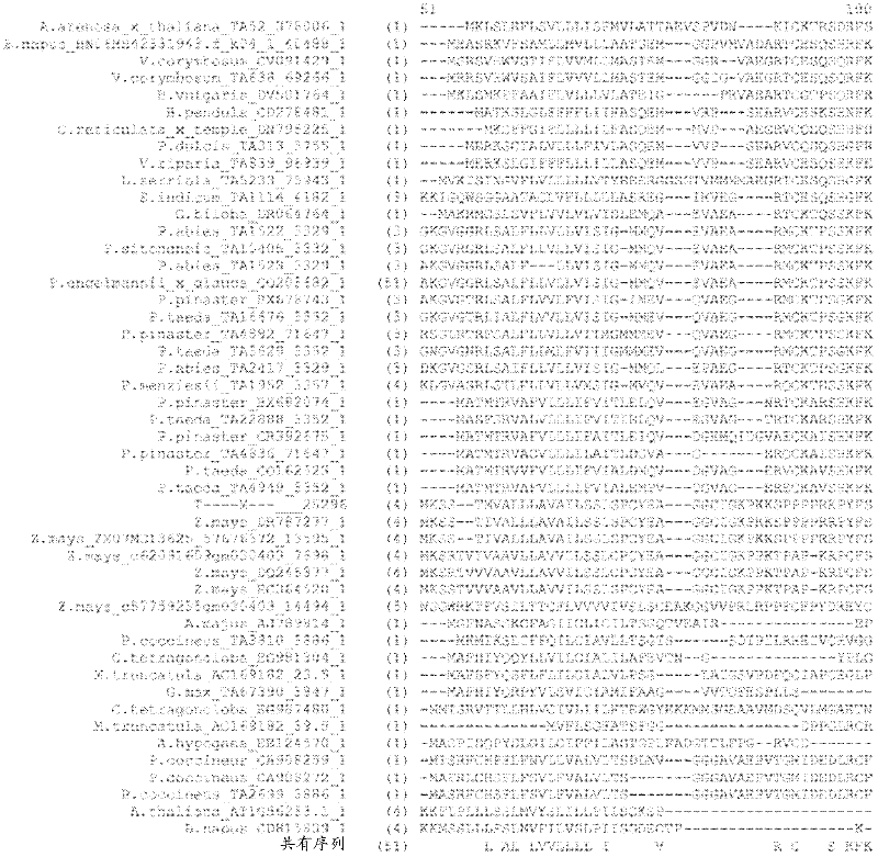 Plants having enhanced yield-related traits and method for making same