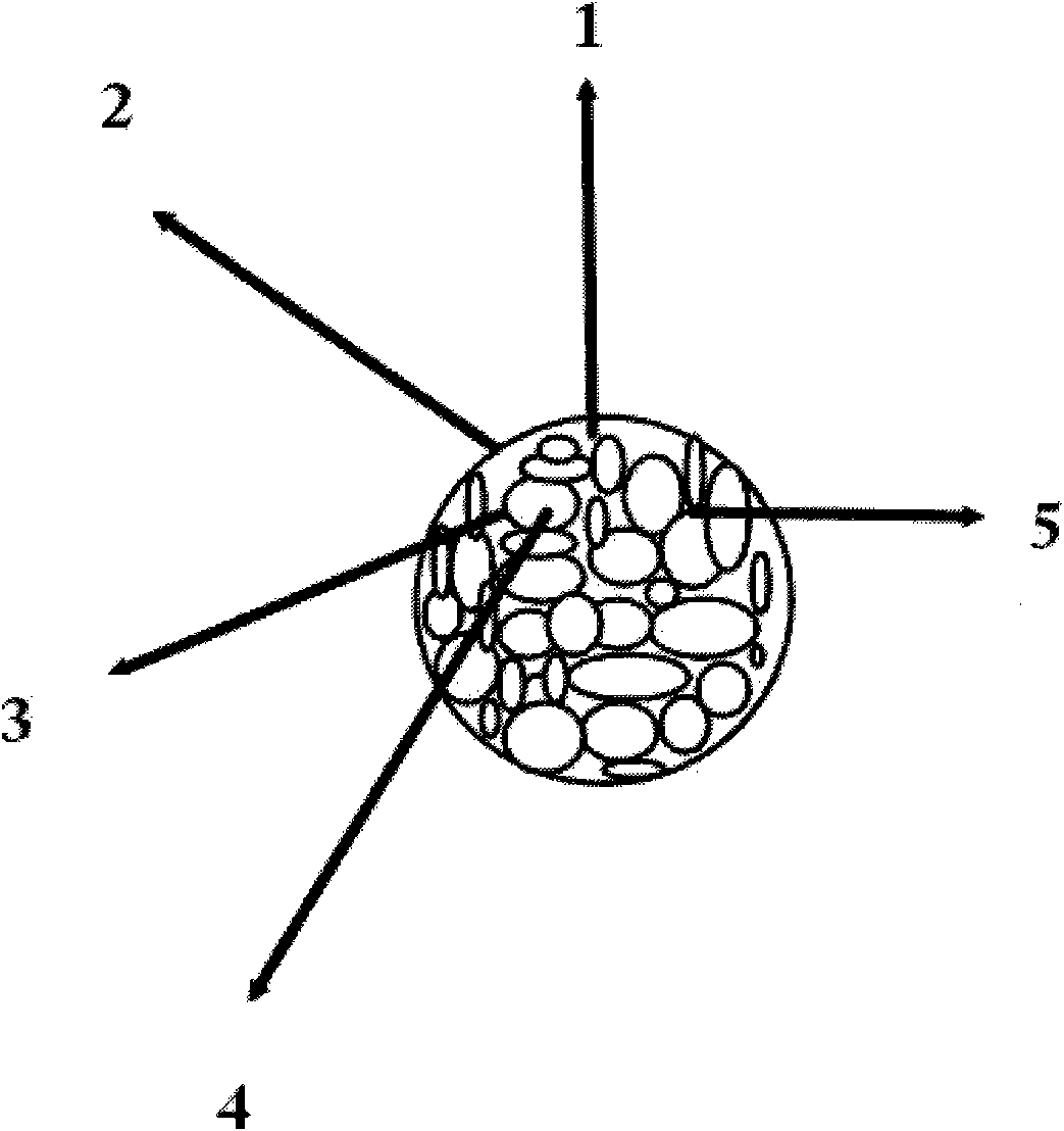 Lithium battery LiFePO4 anode material with internal three-dimensional conductive structure and preparation method thereof