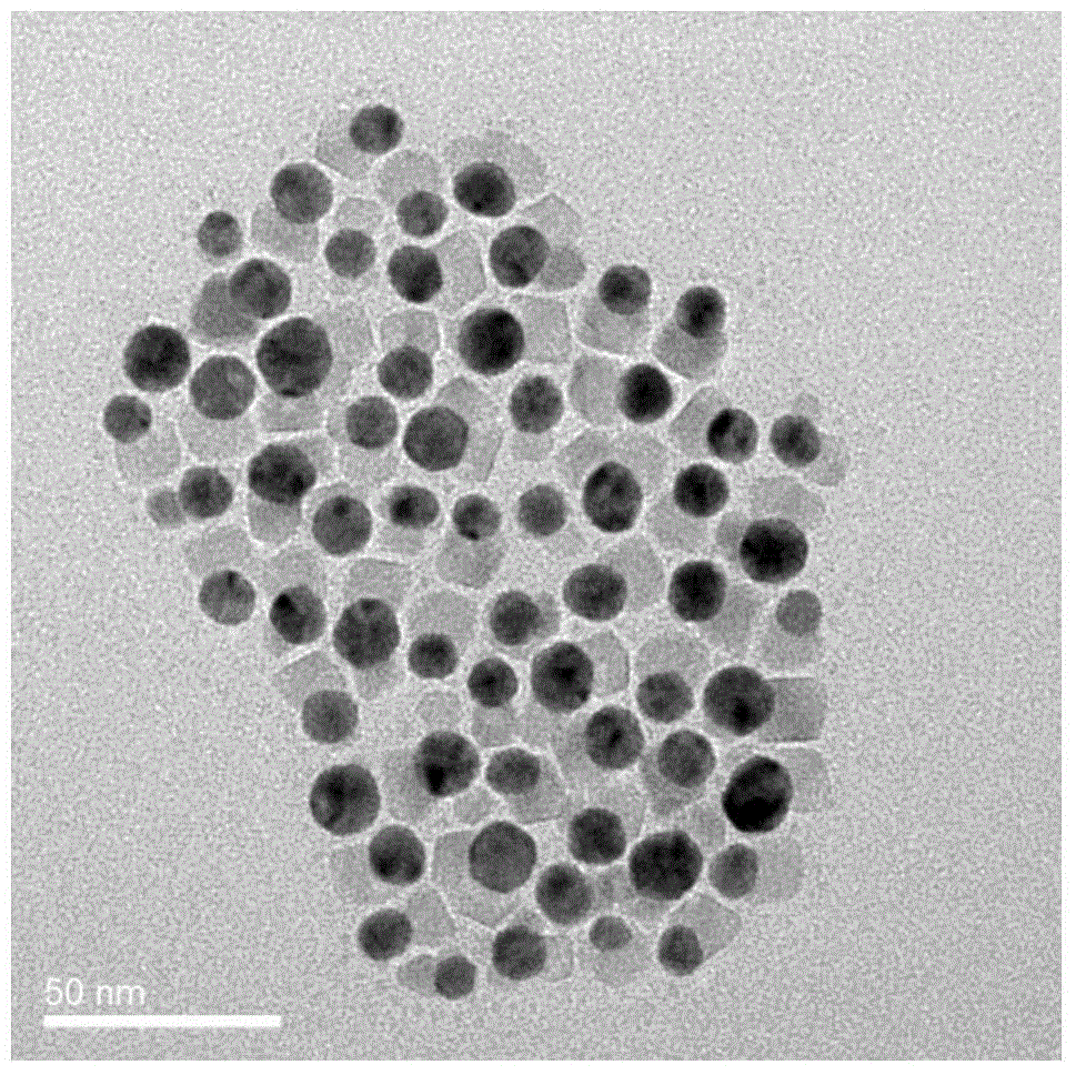 Dual-mode sensor for detecting Cd&lt;2+&gt; based on magnetic nanoparticles and preparation method of dual-mode sensor