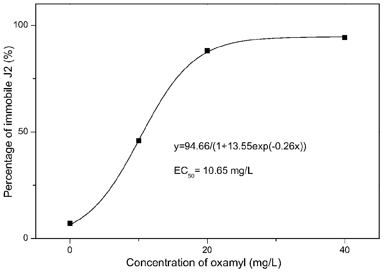 Signaling protein composition for controlling root-knot nematodes and preparation method and application of signaling protein composition