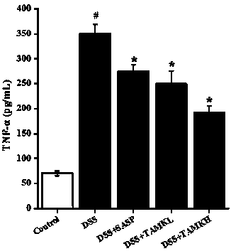 Application of total alkaloids in melodinus khasianus to preparation of medicine for preventing and treating inflammatory bowel disease