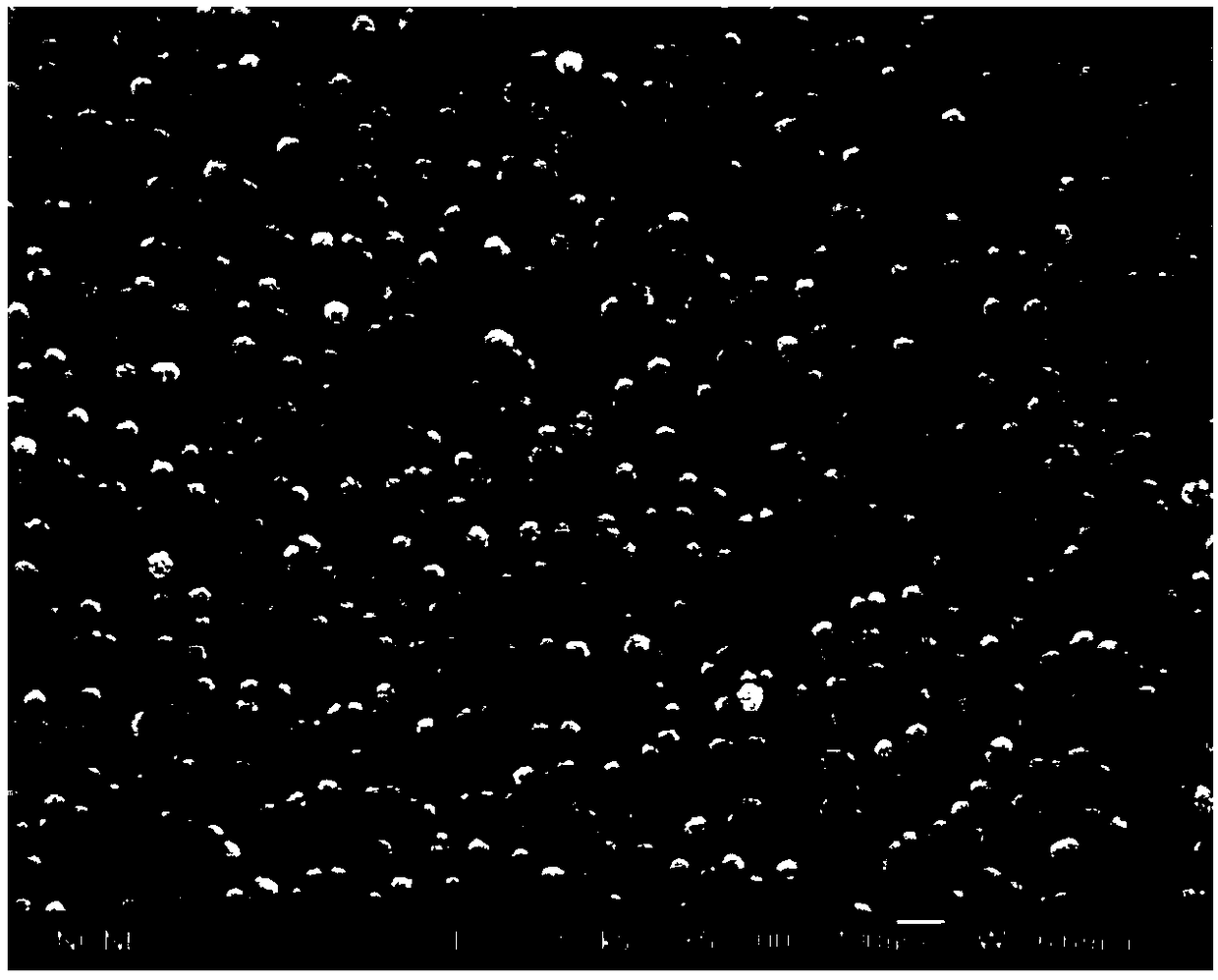 Thermally-stable emulsion of antigen as well as preparation method and application of thermally-stable emulsion