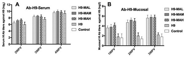 Mucosa-targeted immune enhancer for animals and its application in veterinary vaccines