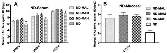 Mucosa-targeted immune enhancer for animals and its application in veterinary vaccines