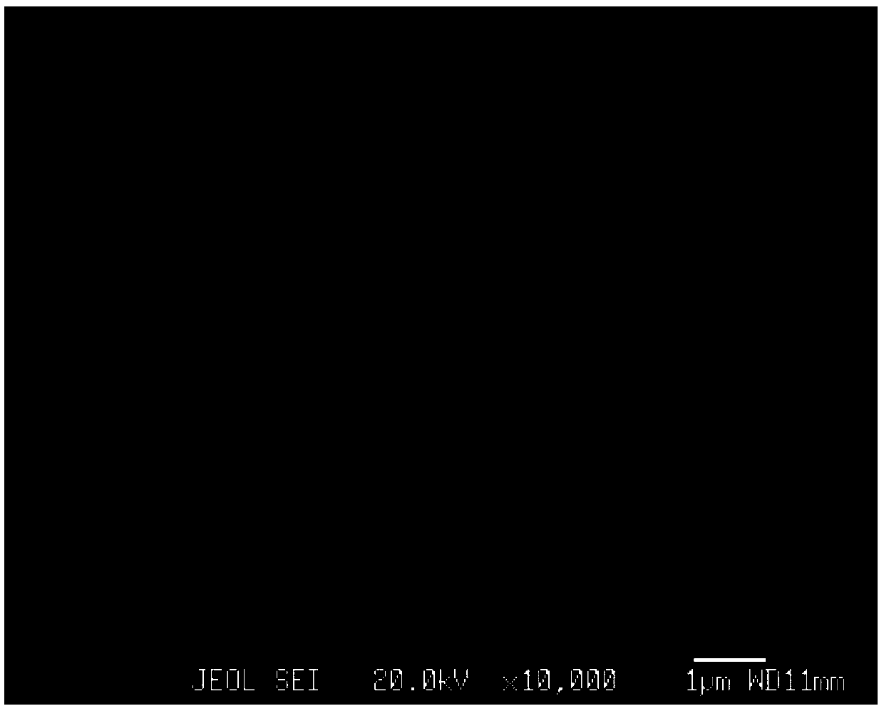 A high-performance environment-friendly silver tin oxide electrical contact material and its preparation method