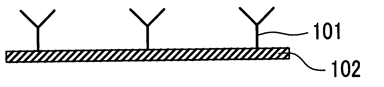 Immunoassay system and immunoassay method