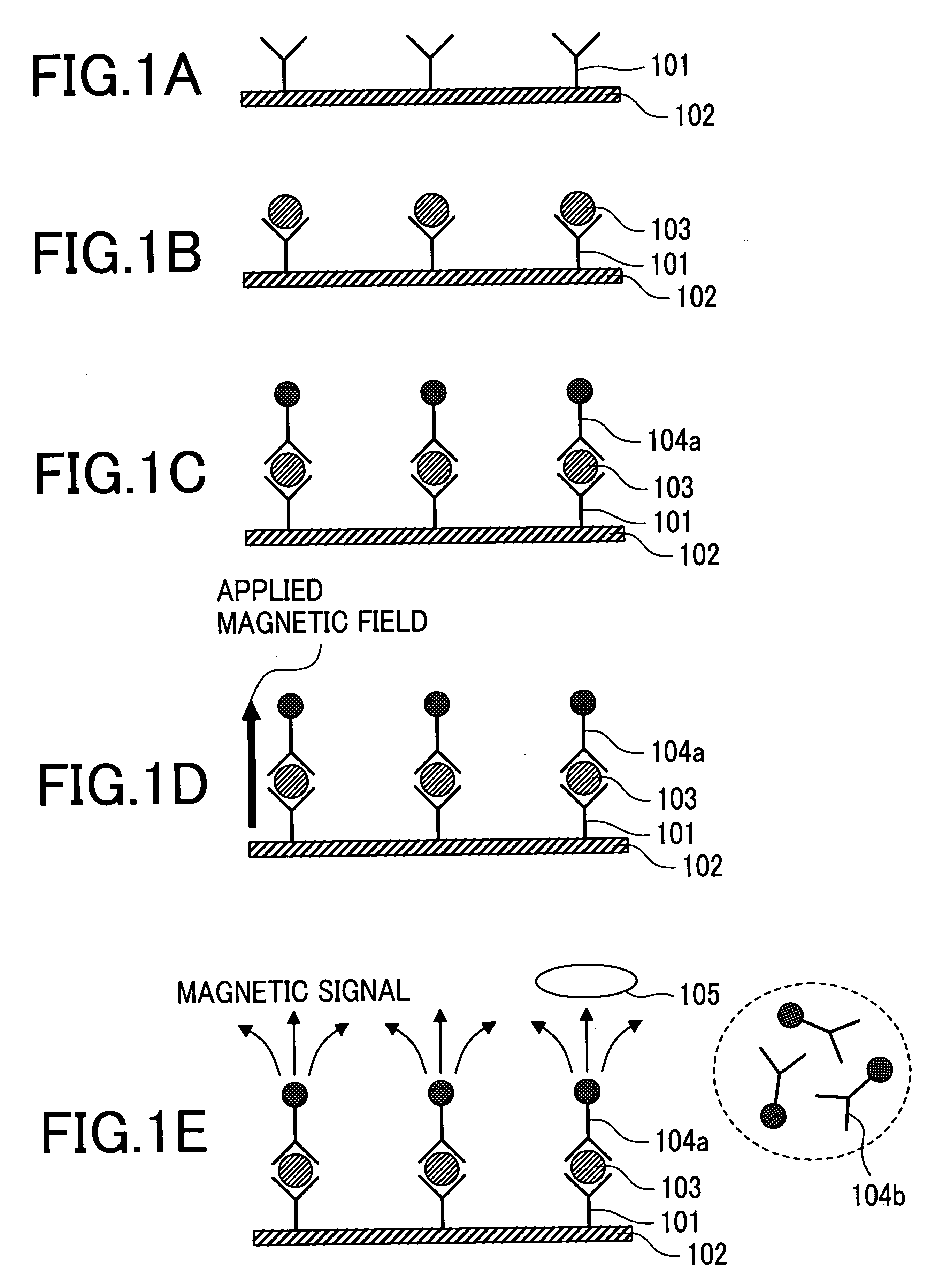 Immunoassay system and immunoassay method