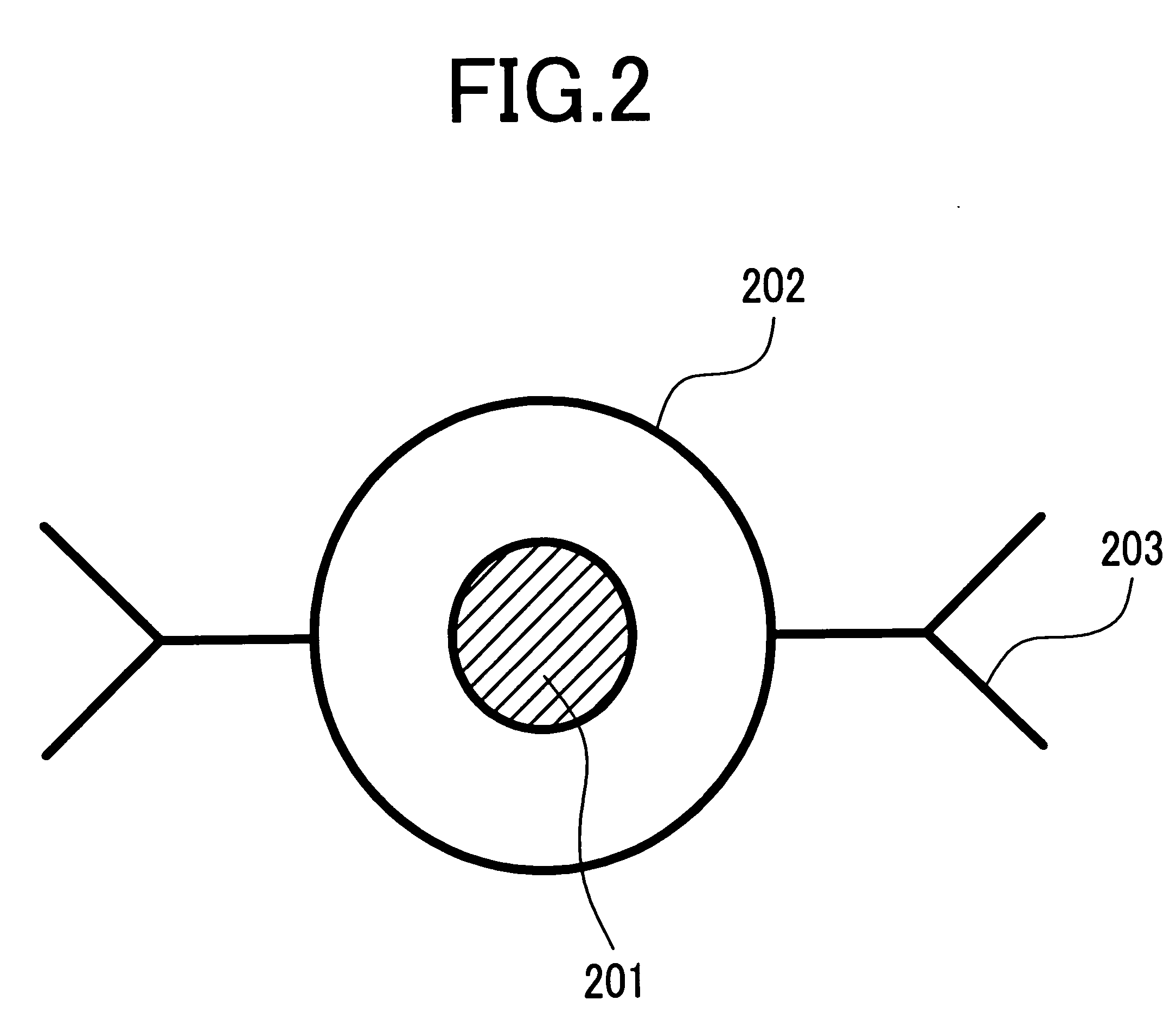 Immunoassay system and immunoassay method