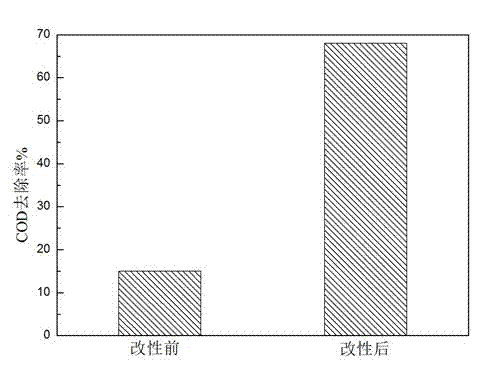 Biomass-modified adsorbent for adsorbing coking wastewater, and preparation method and application thereof