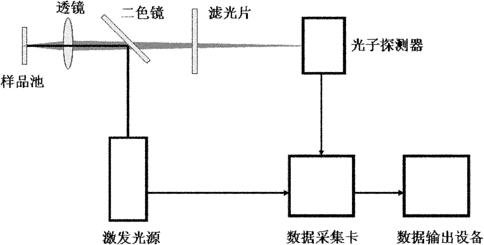 Transient fluorescence lifetime measurement method and measurement system based on single photon counting