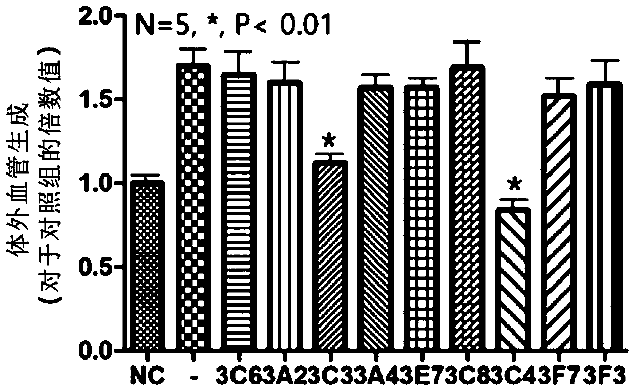 Dual-targeting antibody targeting scf and galectin-1 and use thereof