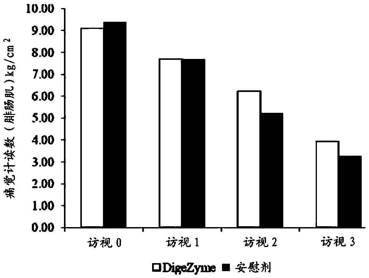 Enzyme composition for therapeutic management of muscle soreness