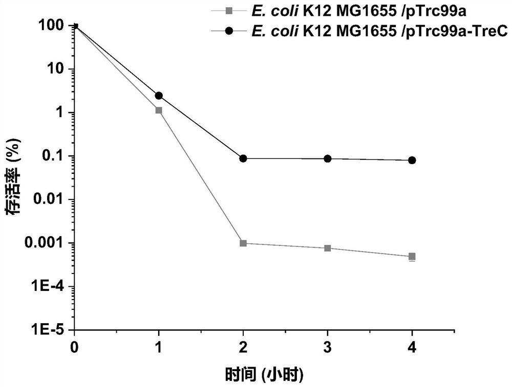 A method for improving acid stress resistance of recombinant Escherichia coli