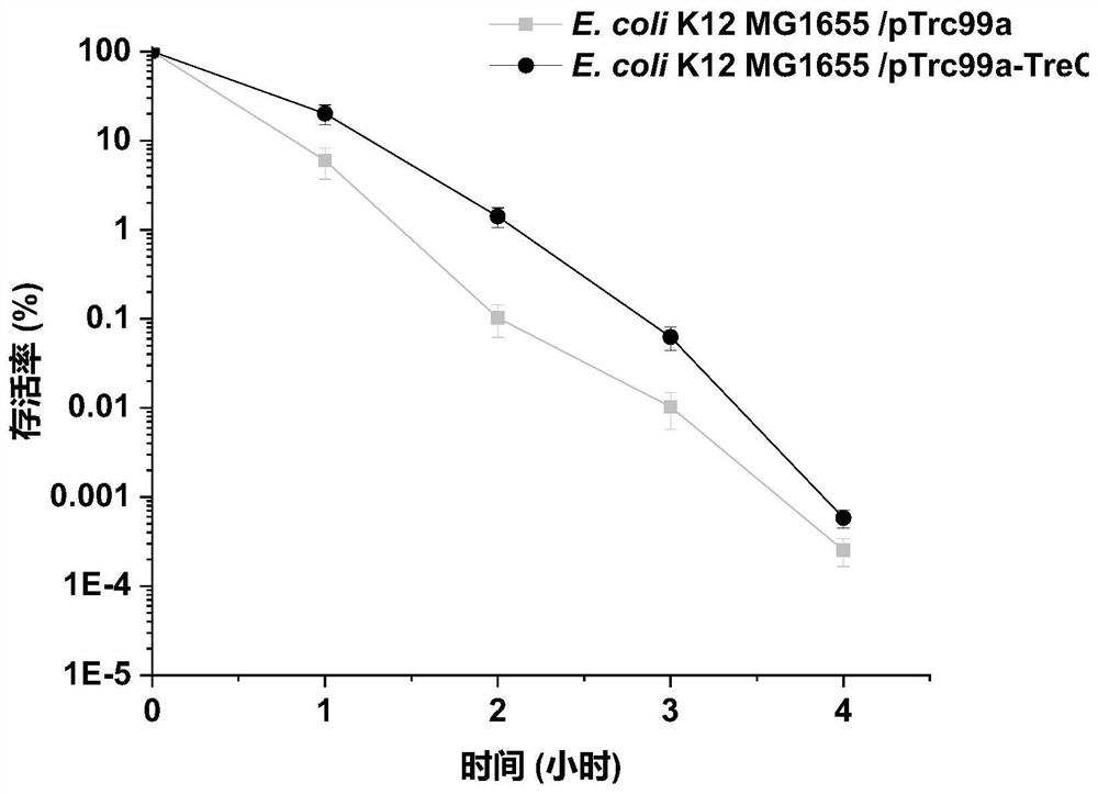 A method for improving acid stress resistance of recombinant Escherichia coli