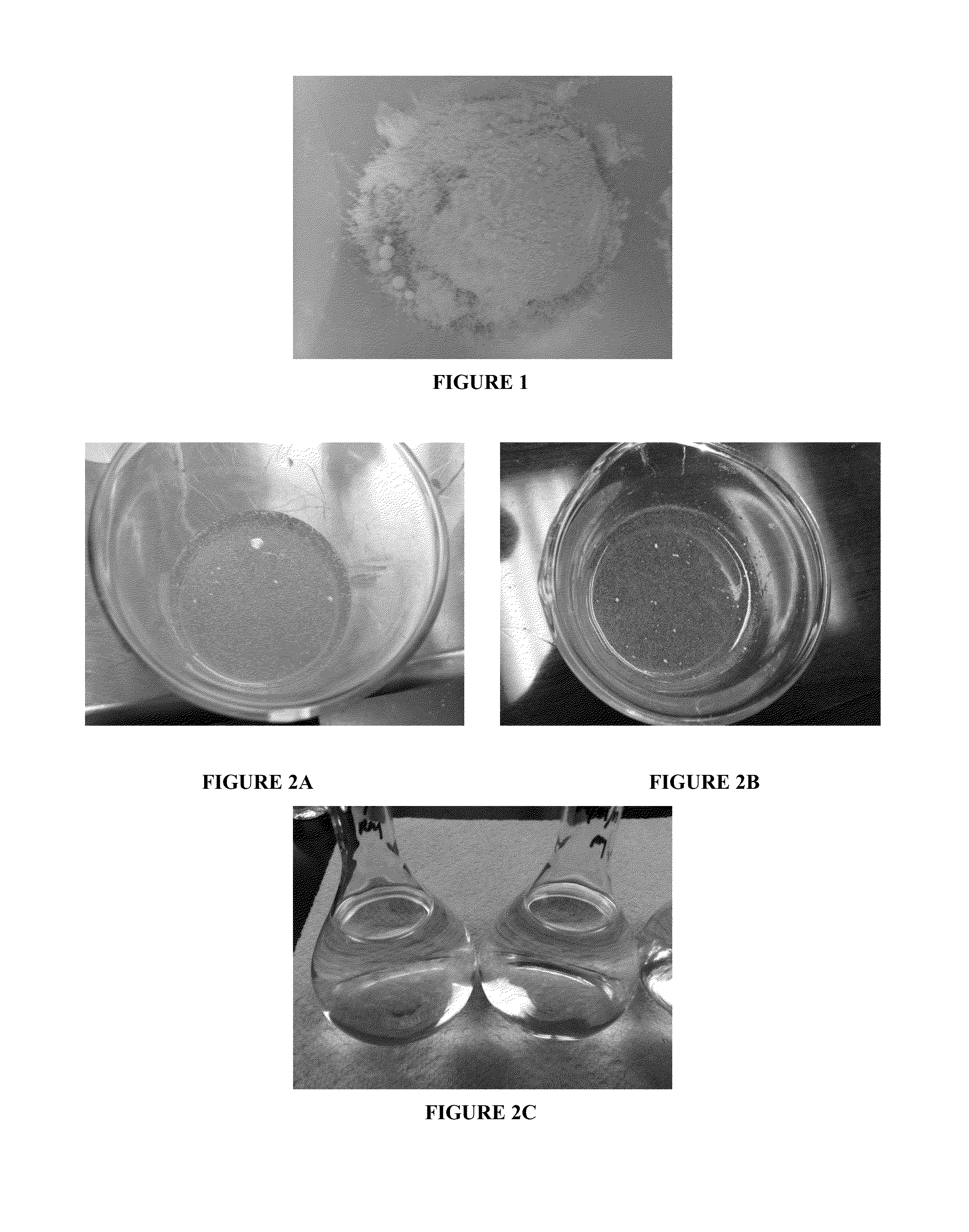 Enalapril compositions