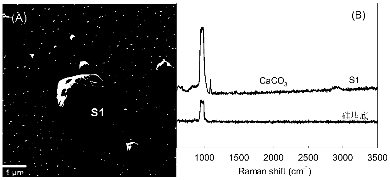 Method for identifying nano plastic particles in aqueous solution based on scanning electron microscope-Raman technology