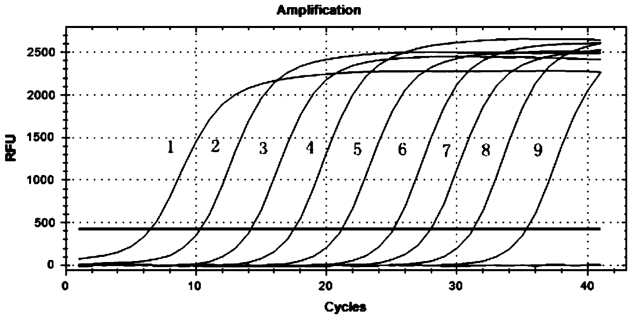 Novel goose arbovirus detection primer group and kit