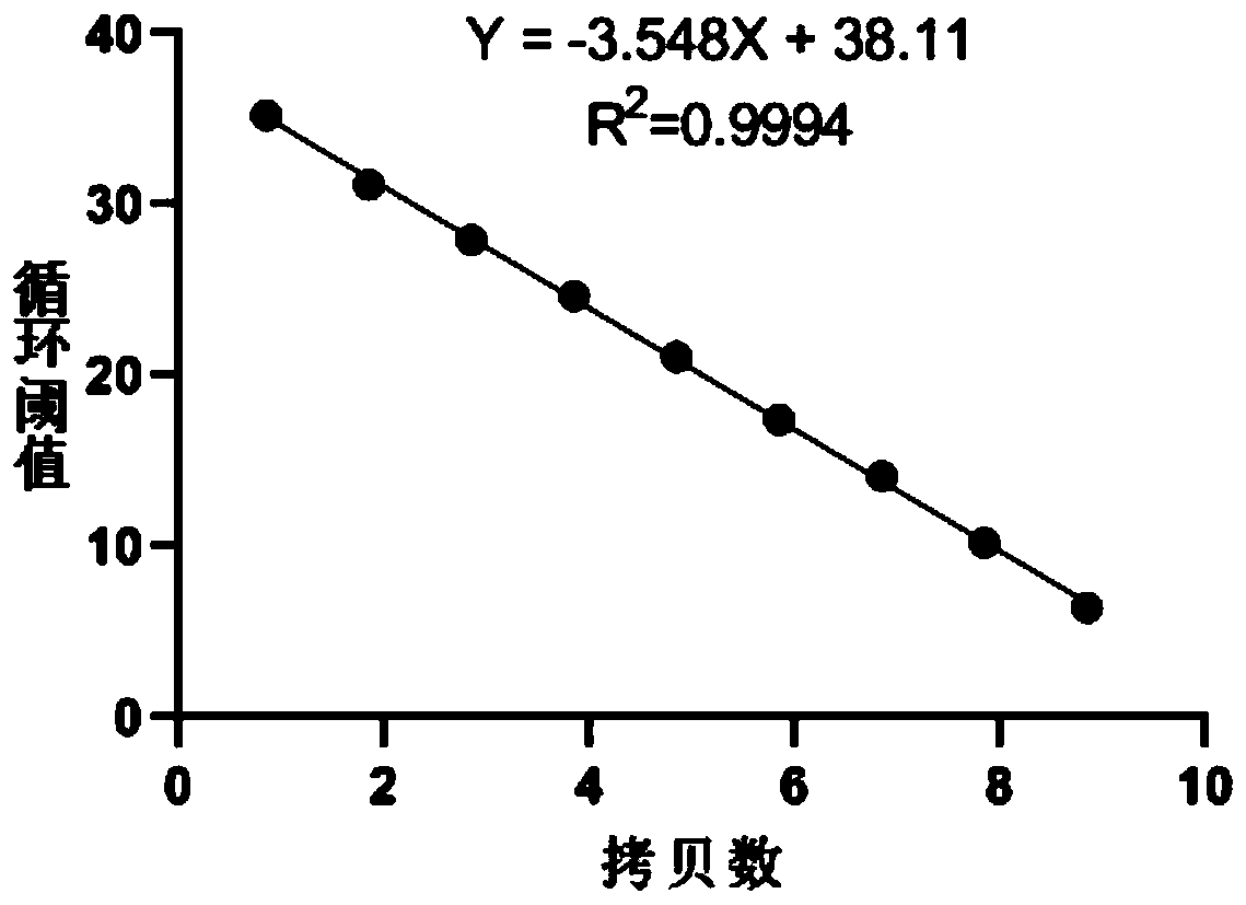 Novel goose arbovirus detection primer group and kit