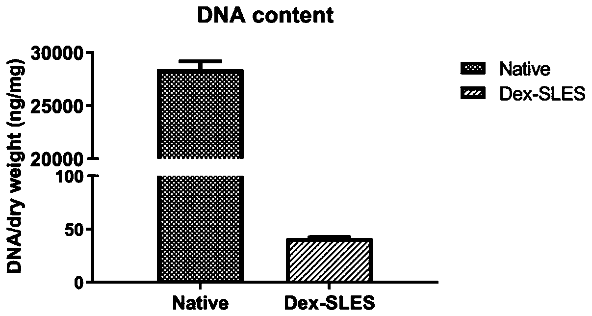 Preparation method of animal decellularized lung biological scaffold material