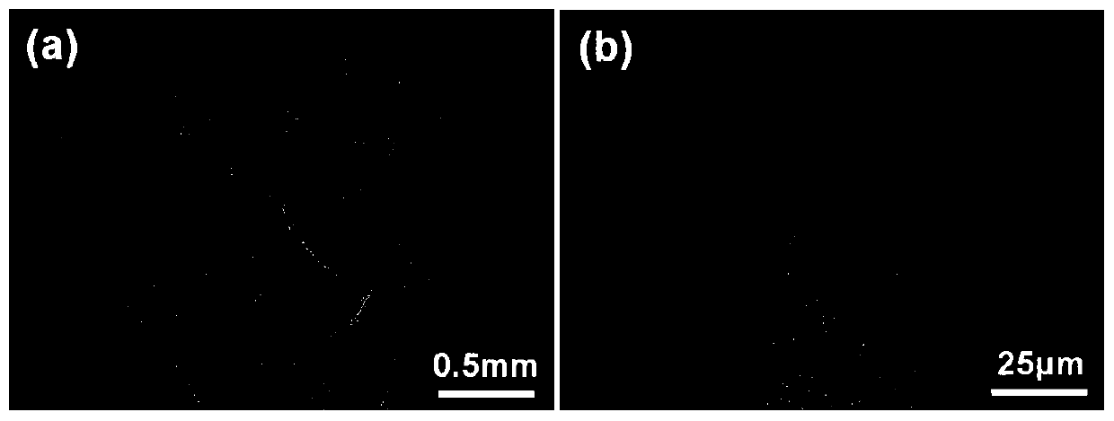 A quasi-continuous laser metal 3D printing method to realize the crystallographic texture control of nickel-based alloys