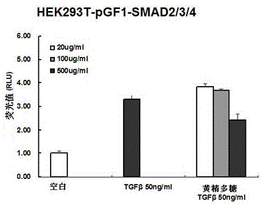 Application of Rhizoma Polygonatum Polysaccharide in the Preparation of Functional Foods with Auxiliary Inhibition of Colon Cancer