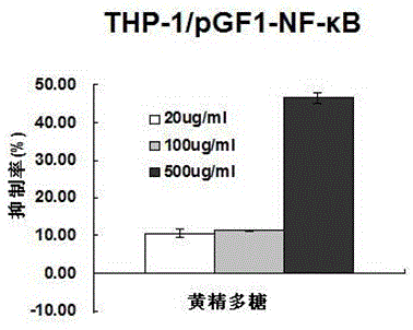 Application of Rhizoma Polygonatum Polysaccharide in the Preparation of Functional Foods with Auxiliary Inhibition of Colon Cancer