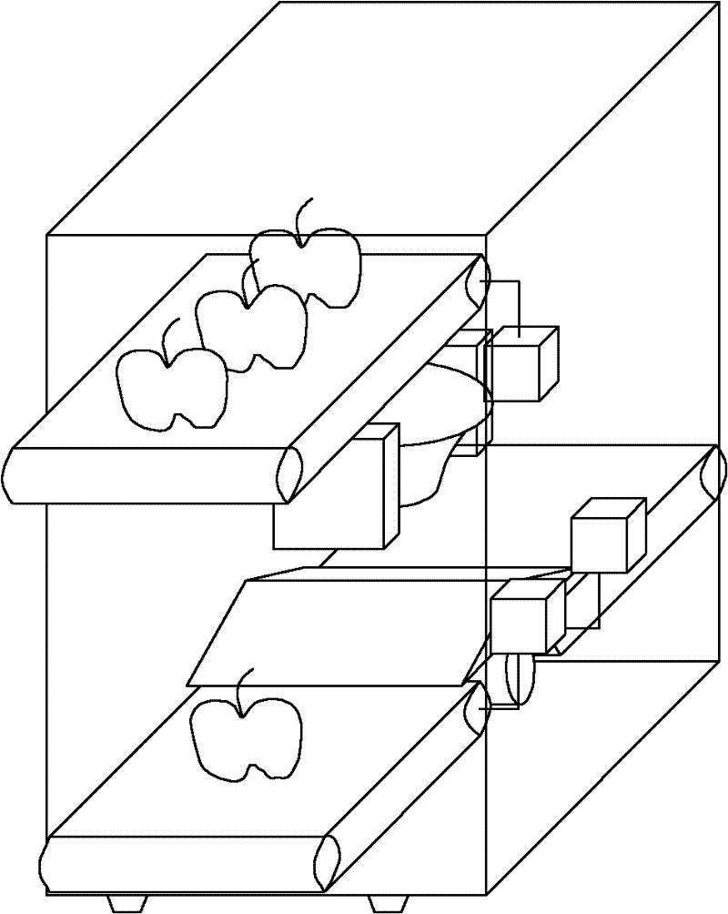 Automatic fruit grading device