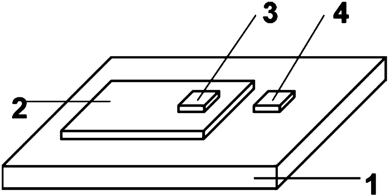 Heterojunction type near-infrared photoelectric detector based on two-dimensional platinum diselenide nano film and cadmium telluride crystal, and preparation method thereof