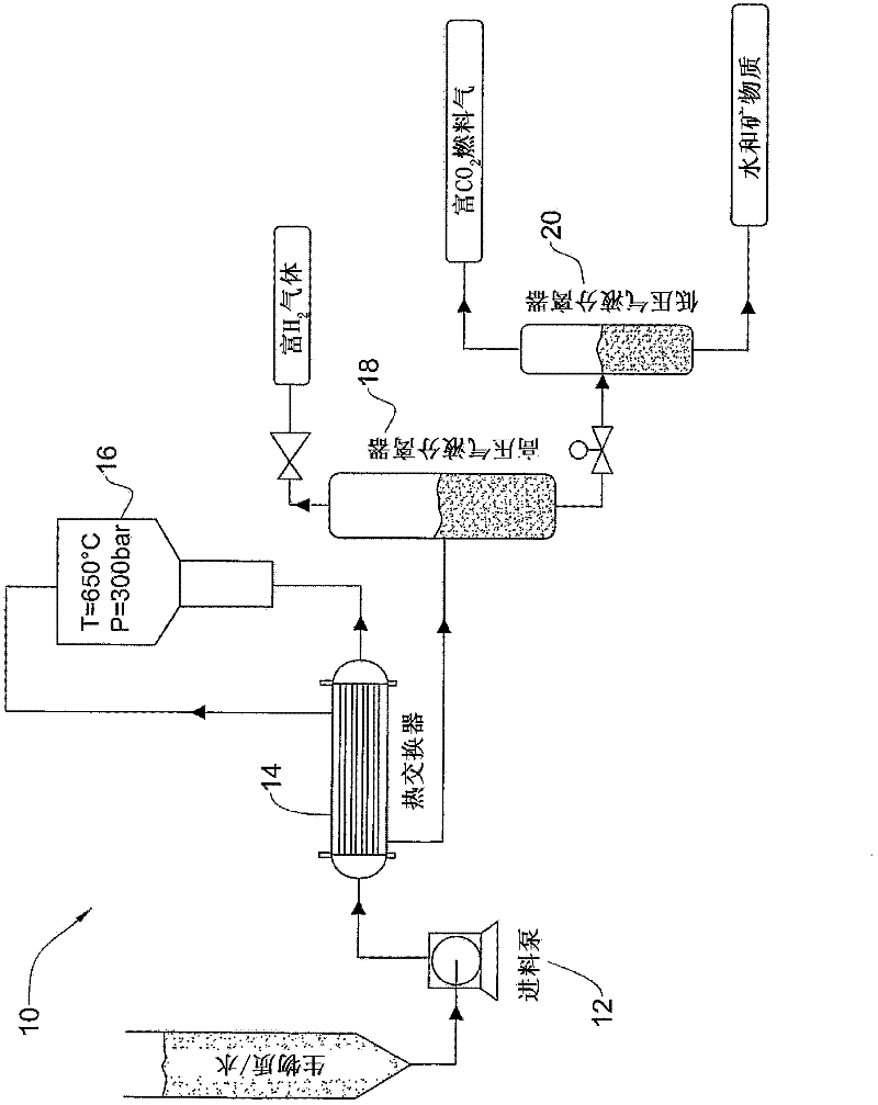 Catalytic gasification of organic matter in supercritical water