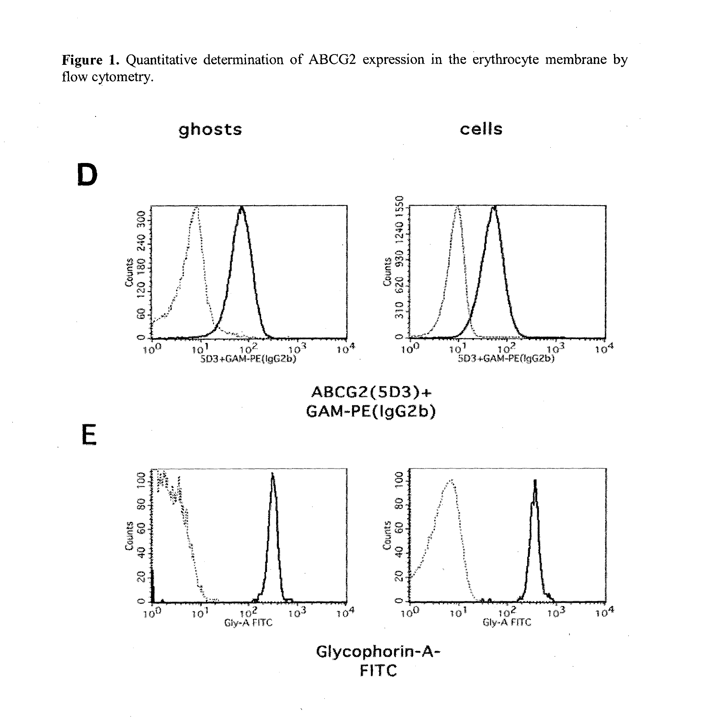 Quantitative determination of biomarkers in the erythrocyte membrane