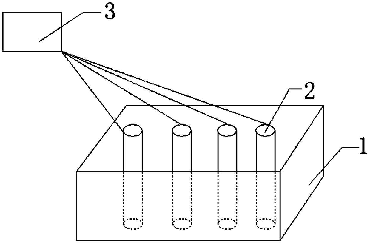 Cutting Propagation Method of Golden Fruit Olive