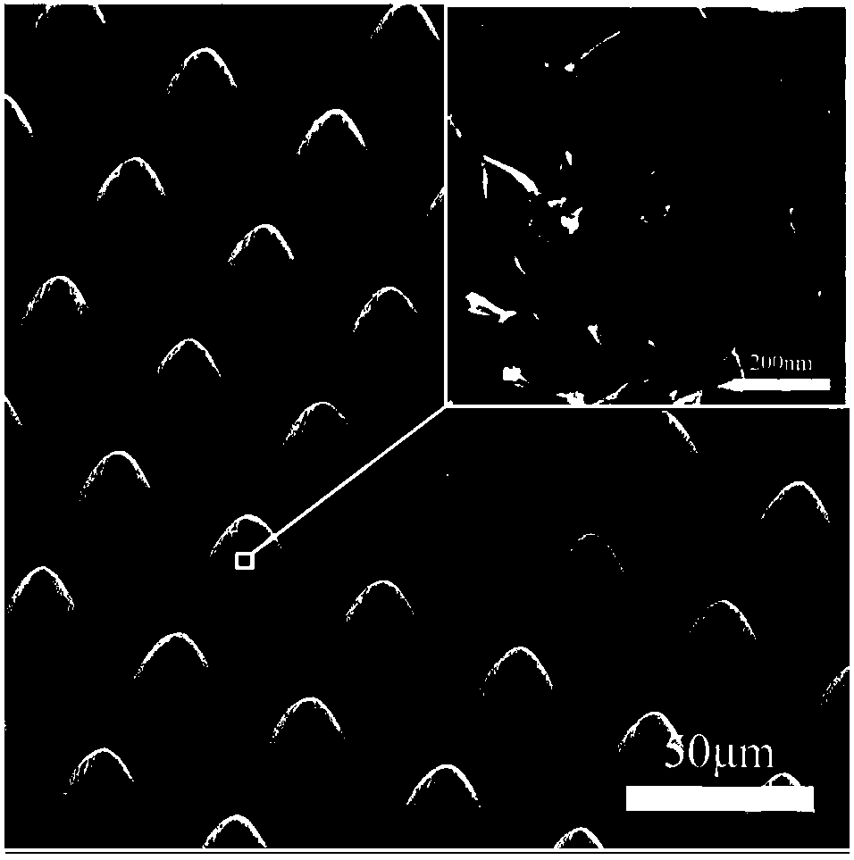 Nano-structure three-dimensional distributed super-amphiphobic metal surface and preparation method thereof