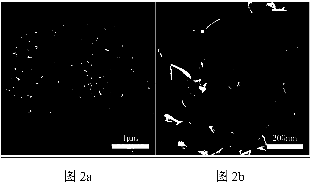 Nano-structure three-dimensional distributed super-amphiphobic metal surface and preparation method thereof