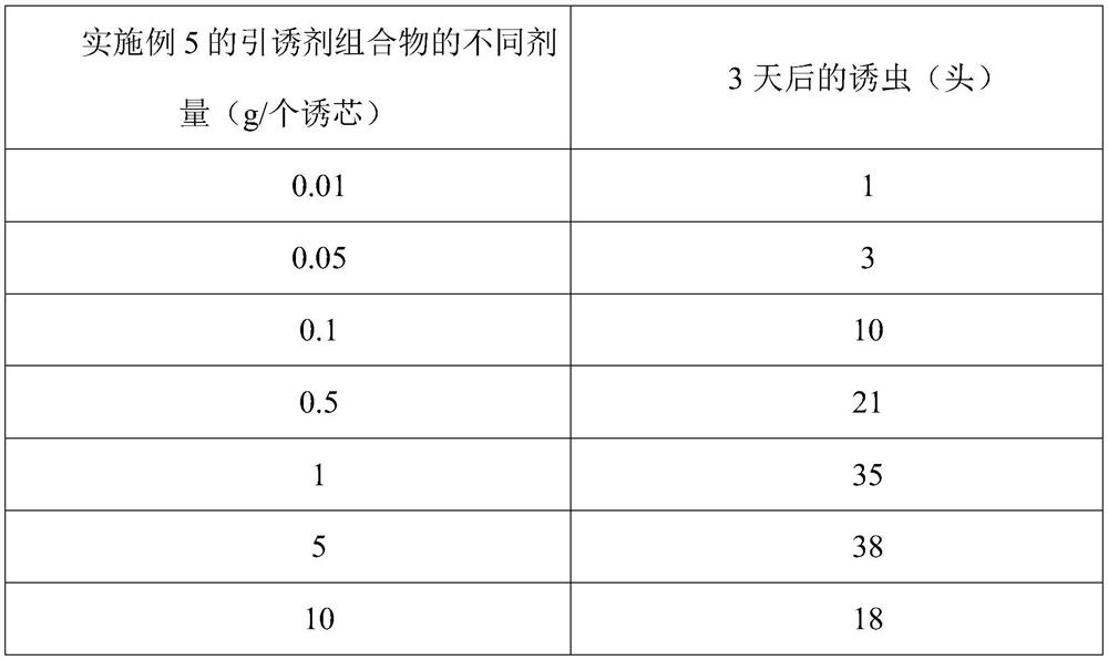 Jaapiella sp. attractant composition, lure and application