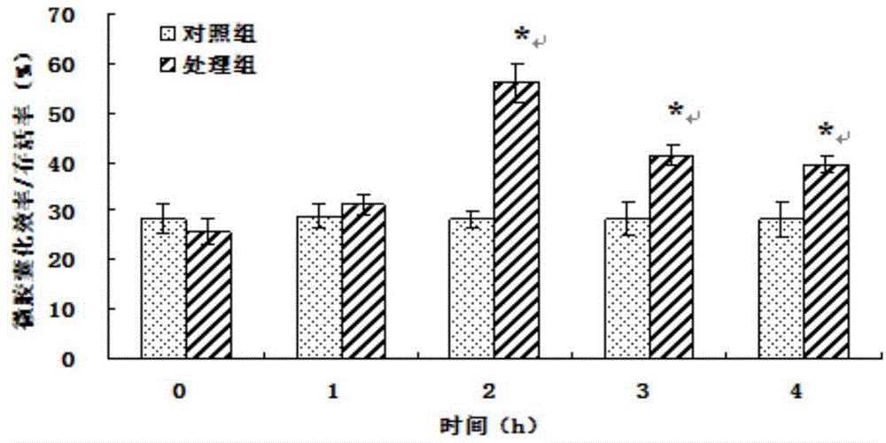 Method for protecting lactobacillus by soy isolate protein obtained through transglutaminase crosslinking