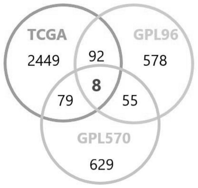 New applications of cholesterol transporter genes and/or their encoded proteins