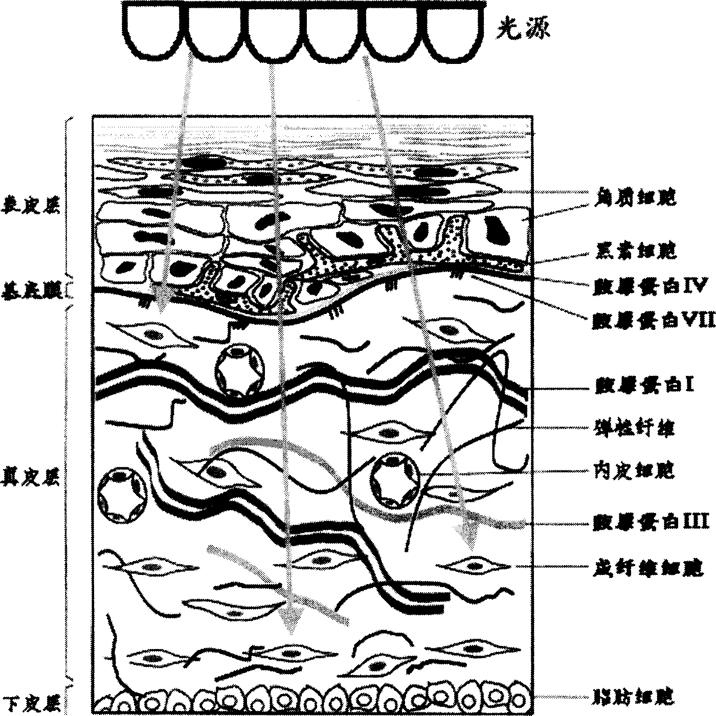 Method for skin beauty-care, instrument and cream therefor